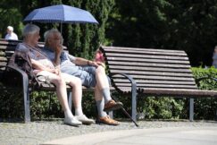 bank, park bench, relax, to sit, seating, resting place, wooden bench, sun, people, old, few, lovingly, pension, pensioners, eventide, nature, umbrella, parasol